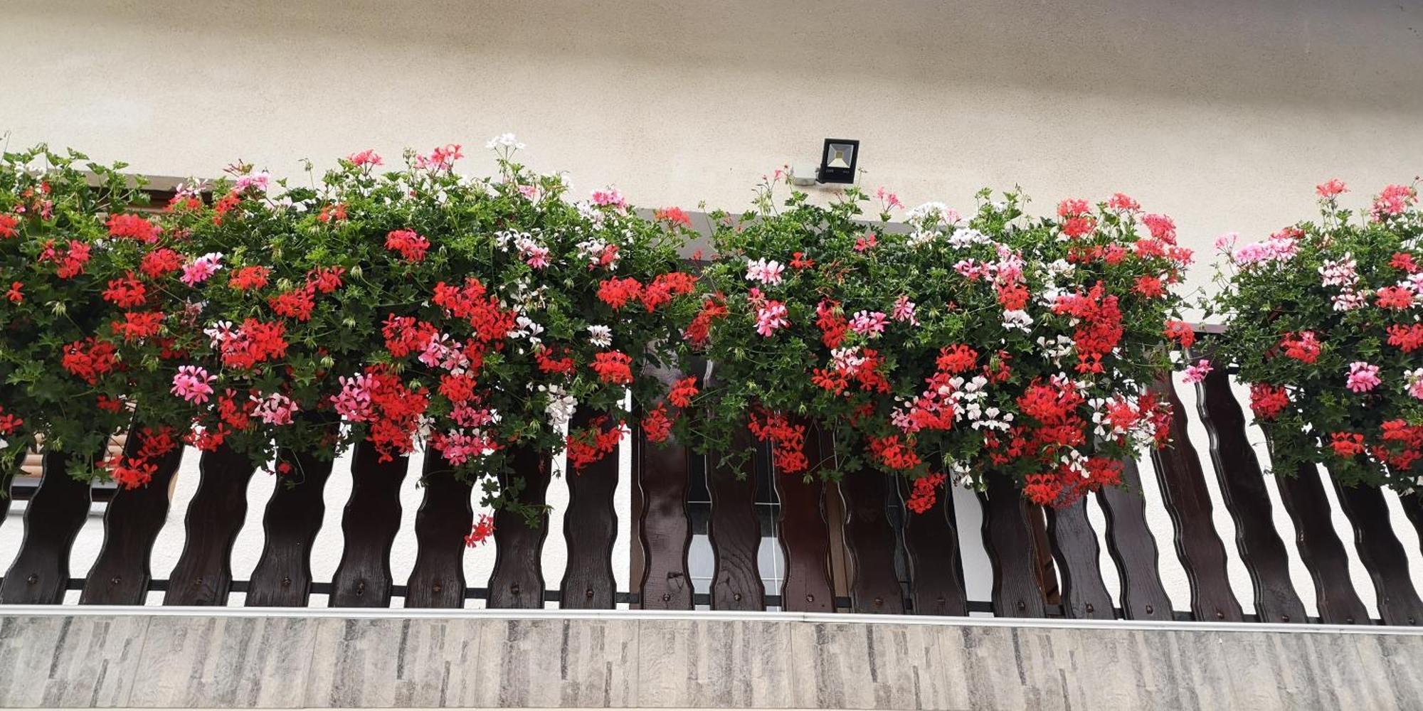 Plitvice House Milan Hotel Jezerce Exterior foto